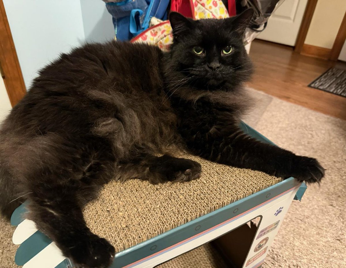 🌺Flower Fancy Pants!🌺 tweet media