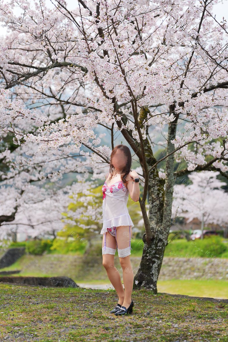 あーや🍒廃＆露 tweet media