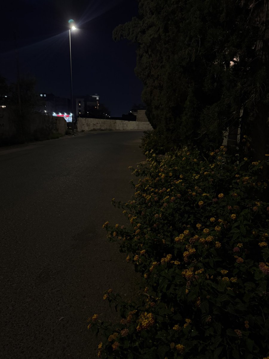 هناء tweet media