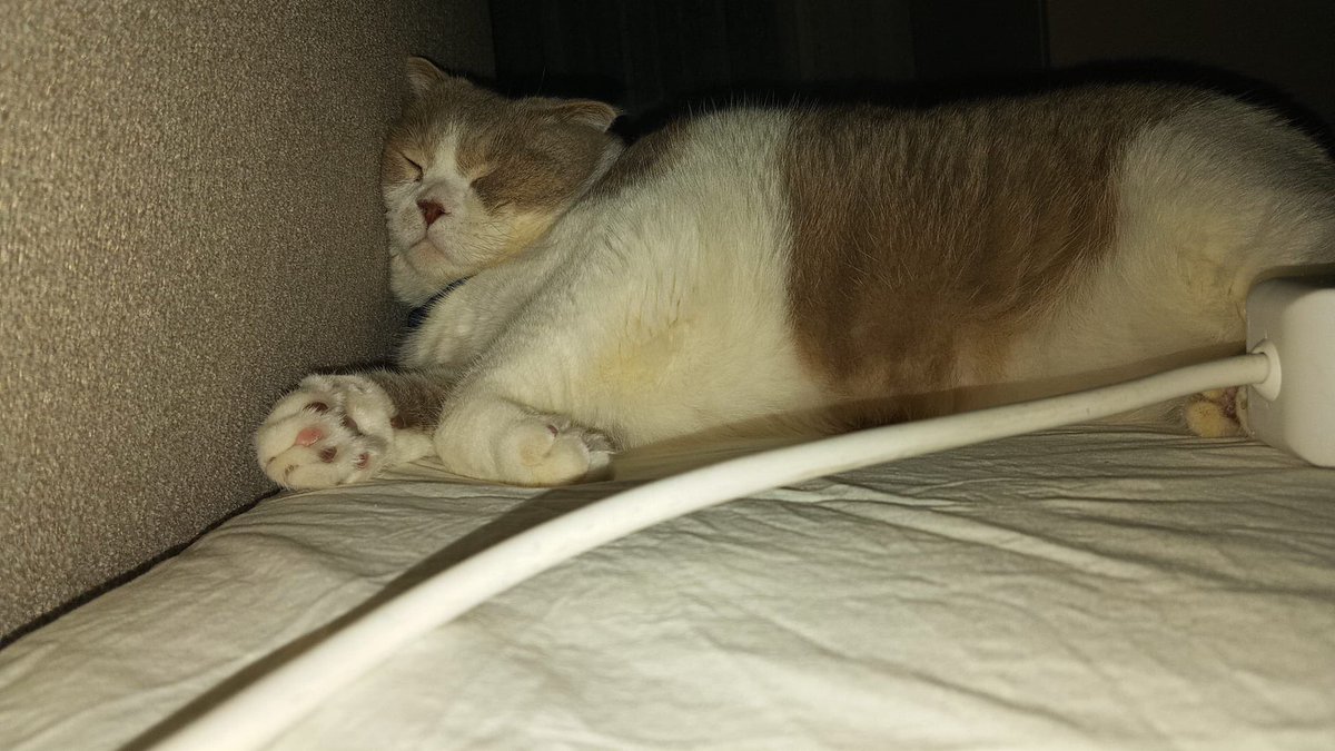 Böyle uyunmaz ki eridim resmen bal oğlum  🥰 #iyigeceler #geceyeNotum