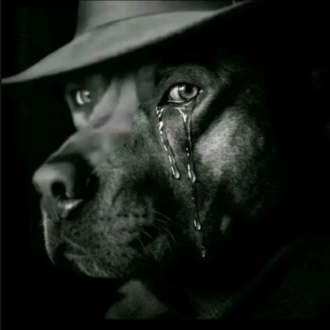 ꧁ᚗ᚜ËŁ ĮŅFŰŇGĮBŁË᚛ᚘ☬꧂ tweet media