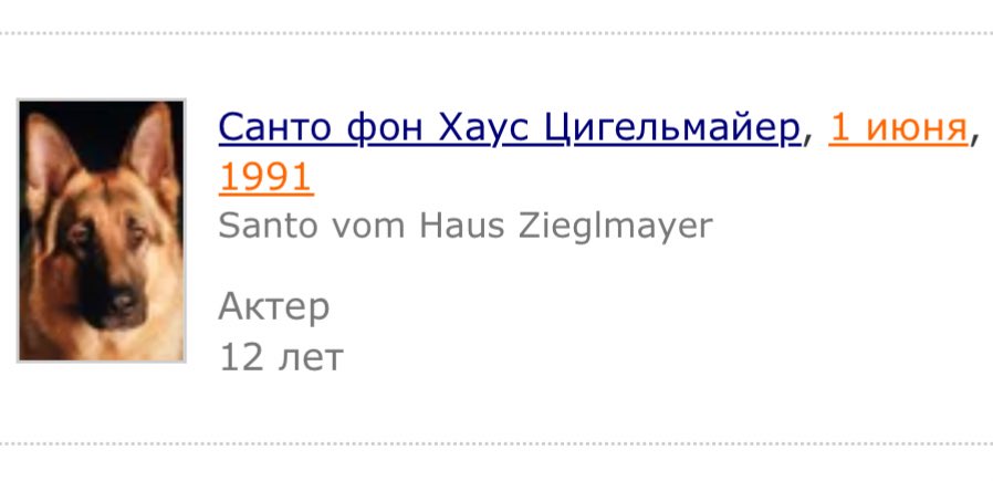 Итиль Тёмная tweet media