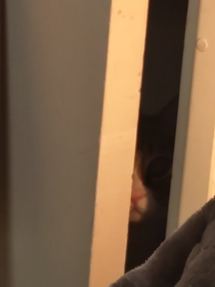 zikaualpha's tweet photo. I think my son is plotting a murder https://t.co/J6fleeLnVg