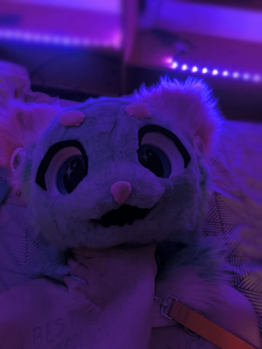 MeebyUwU's tweet photo. I'm ur pray ~
https://t.co/mA7TLFRwKQ
#nsfw #transfem #fursuit #furry #transfem #femboy #mursuit #collar #leash #bodywritting #choke #choking https://t.co/ExxMG3jpmG