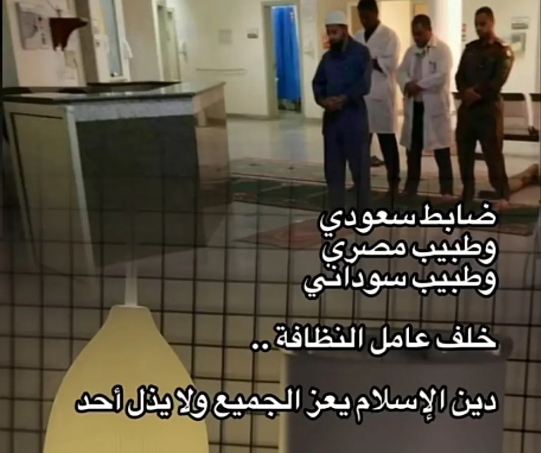 Voices from paradise tweet media