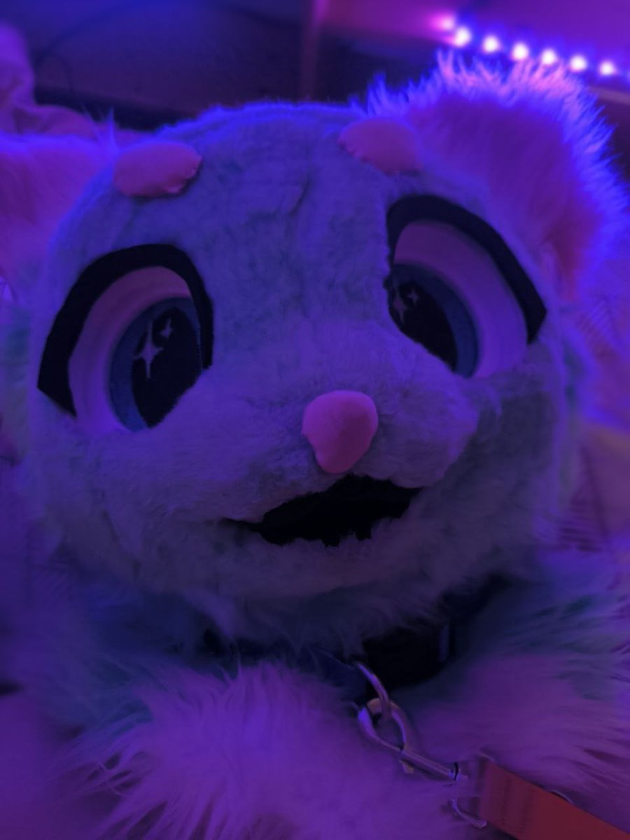 MeebyUwU's tweet photo. I'm ur pray ~
https://t.co/mA7TLFRwKQ
#nsfw #transfem #fursuit #furry #transfem #femboy #mursuit #collar #leash #bodywritting #choke #choking https://t.co/ExxMG3jpmG