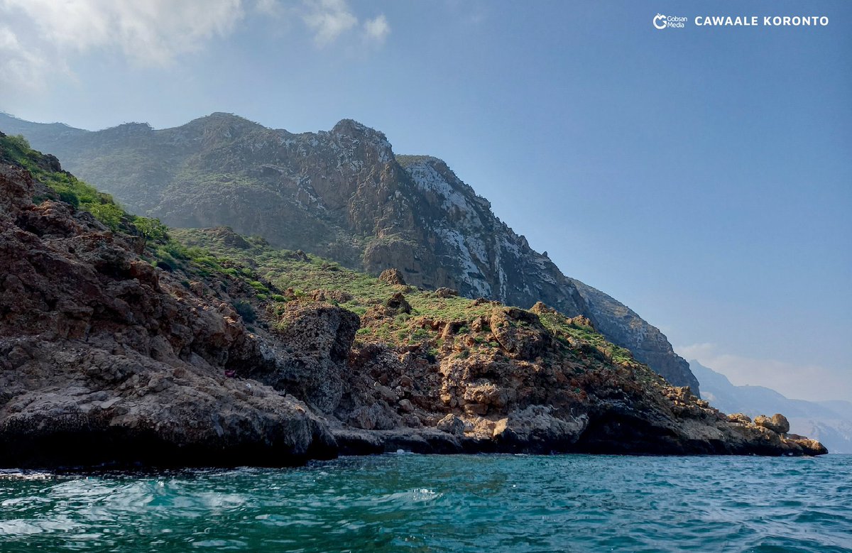 Somali Visuals ☆ tweet media