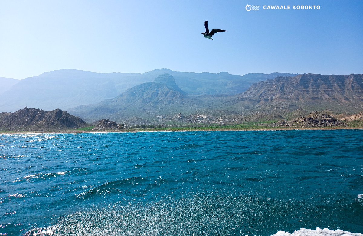 Somali Visuals ☆ tweet media