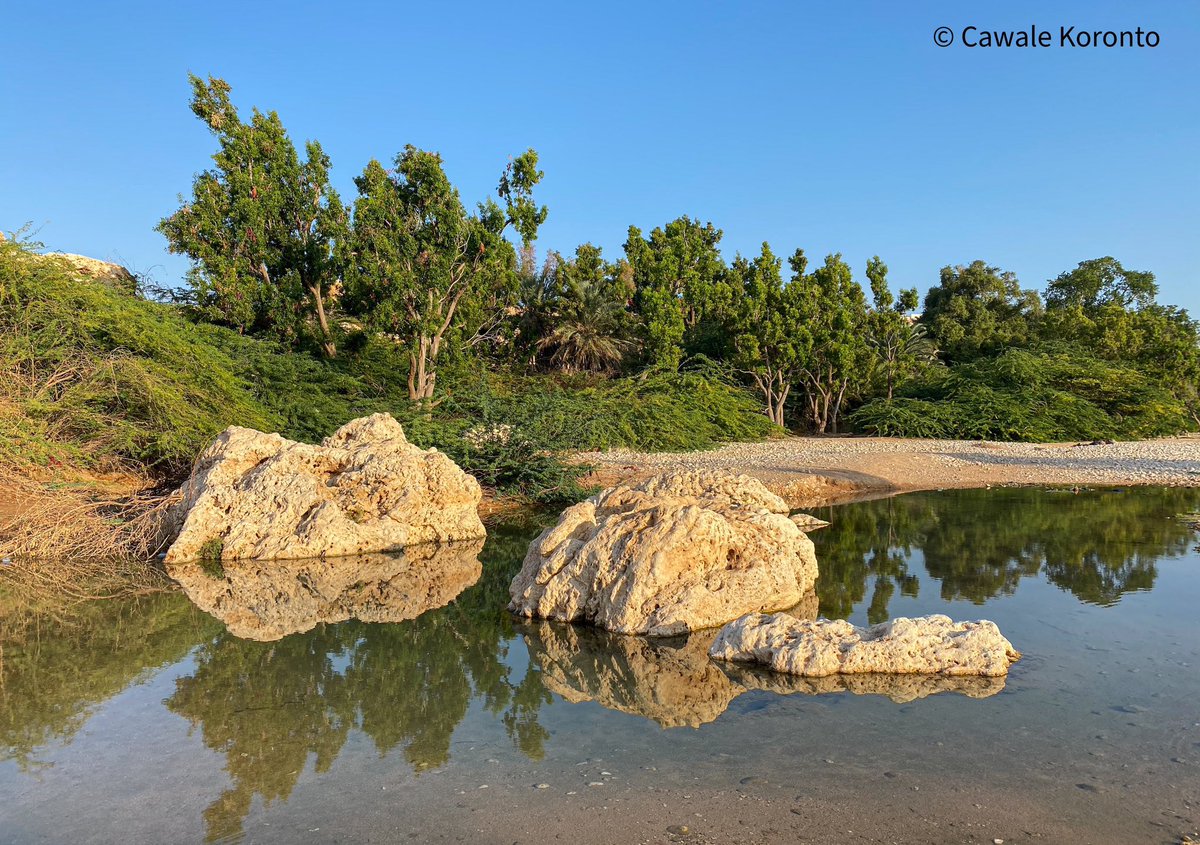 Somali Visuals ☆ tweet media