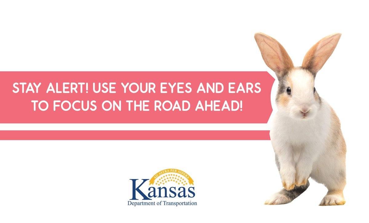 NWKansasKDOT tweet media