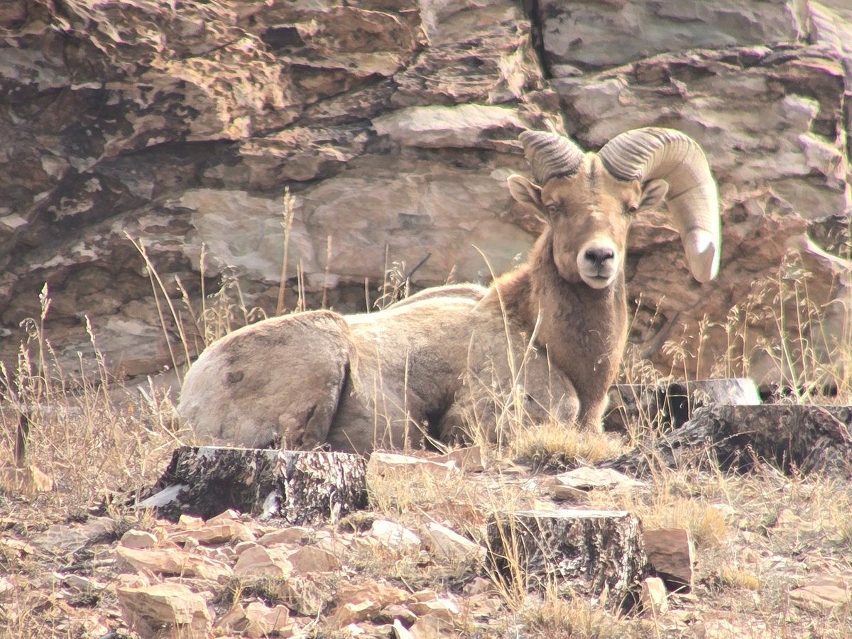 CPW SE Region tweet media