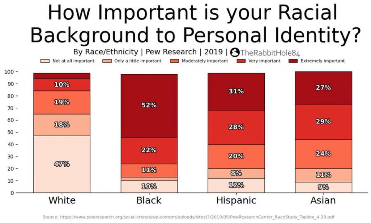 The Rabbit Hole tweet media