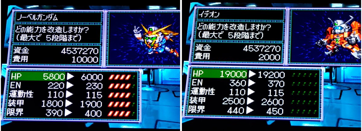 明後日を見つめるプレーリードッグ tweet media