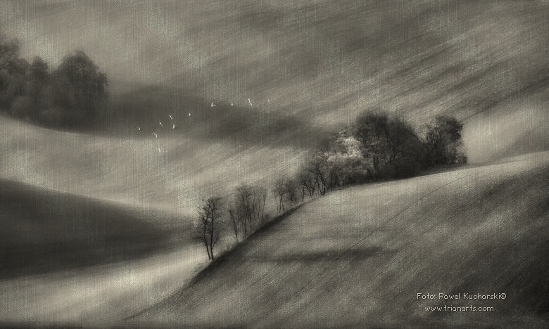 Concha Rodríguez tweet media