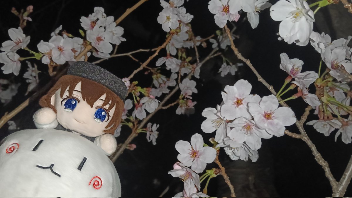 箱推し➡ぬんぬん🐻💿Ⓜ️💋🍎 tweet media