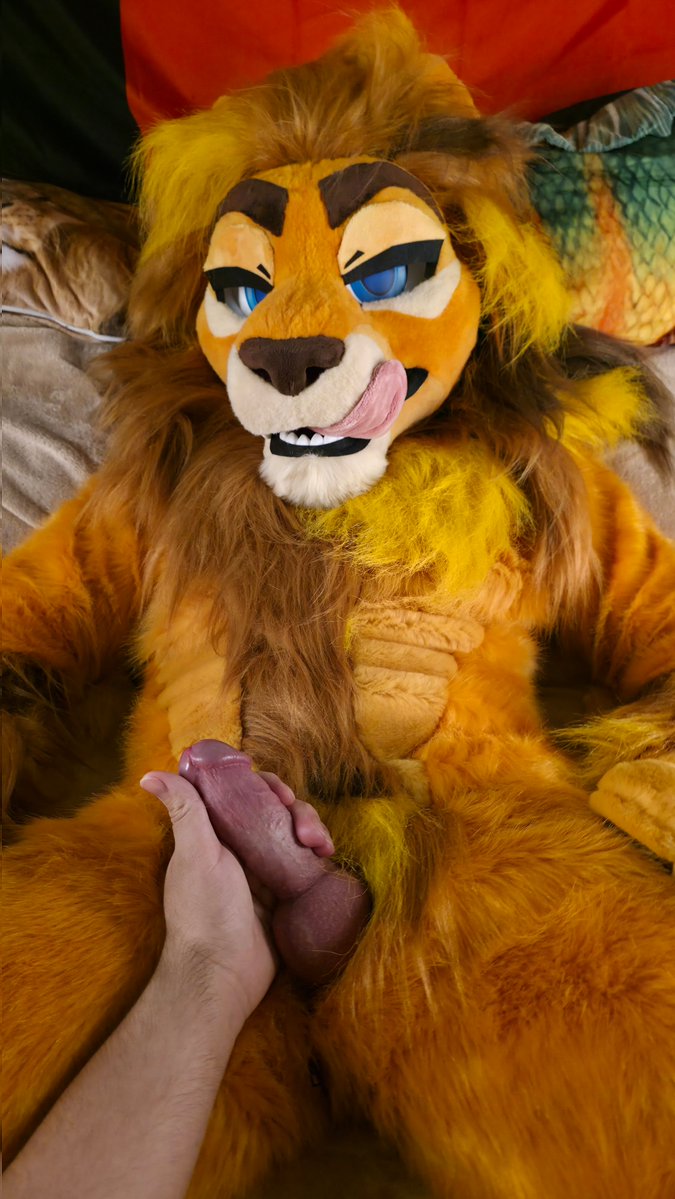 👑 Taima 🦁 ➡️ TFF tweet media