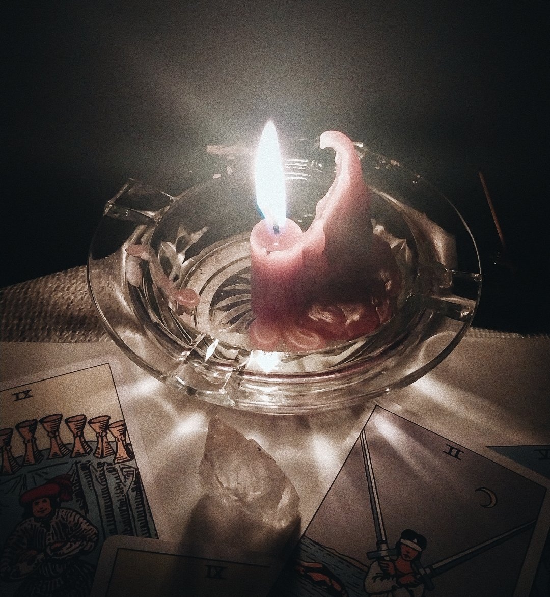 𝙨𝙩𝙚𝙛𝙛; ☪︎ . tweet media