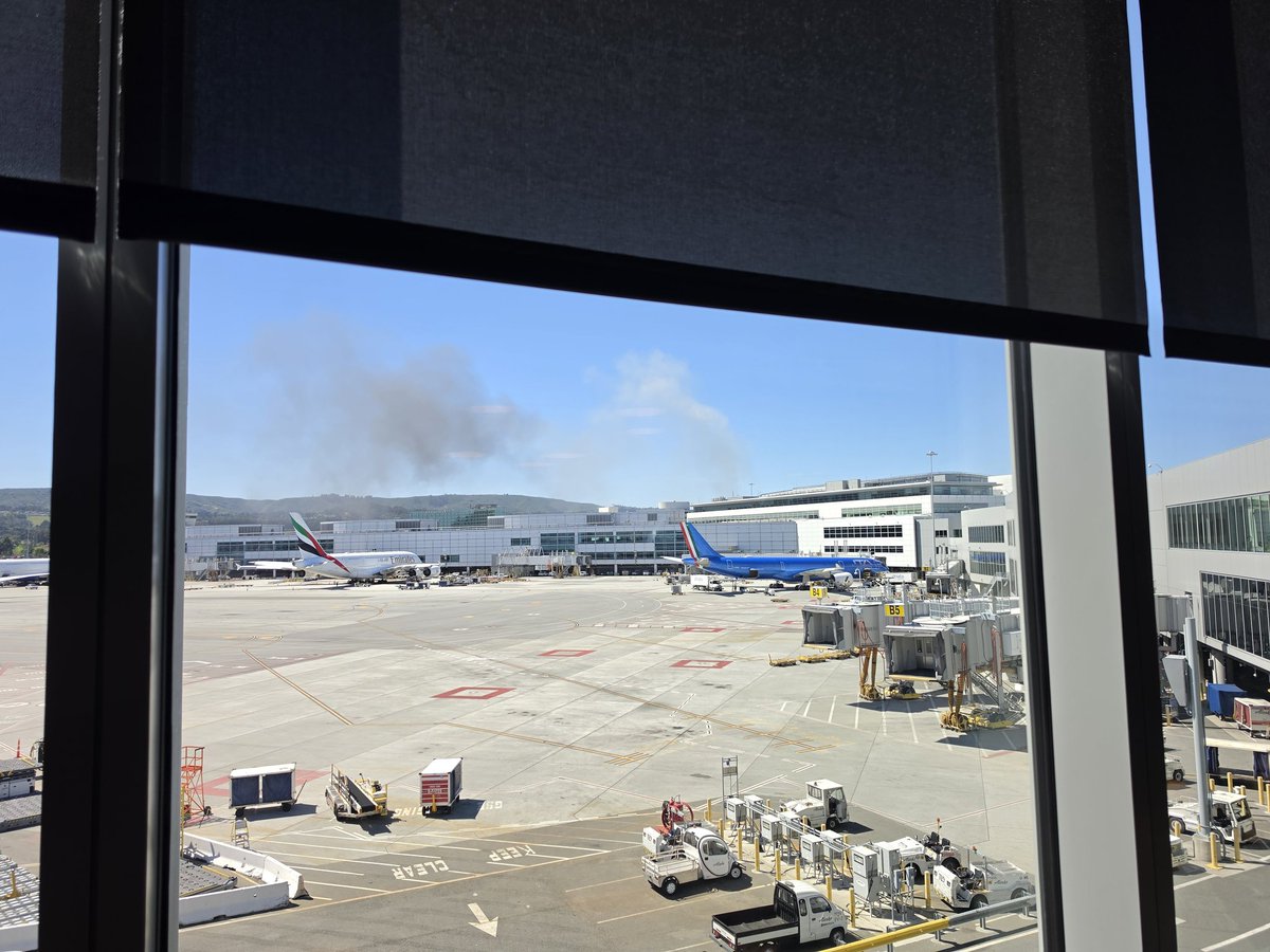 Licensed 2 Pill tweet media