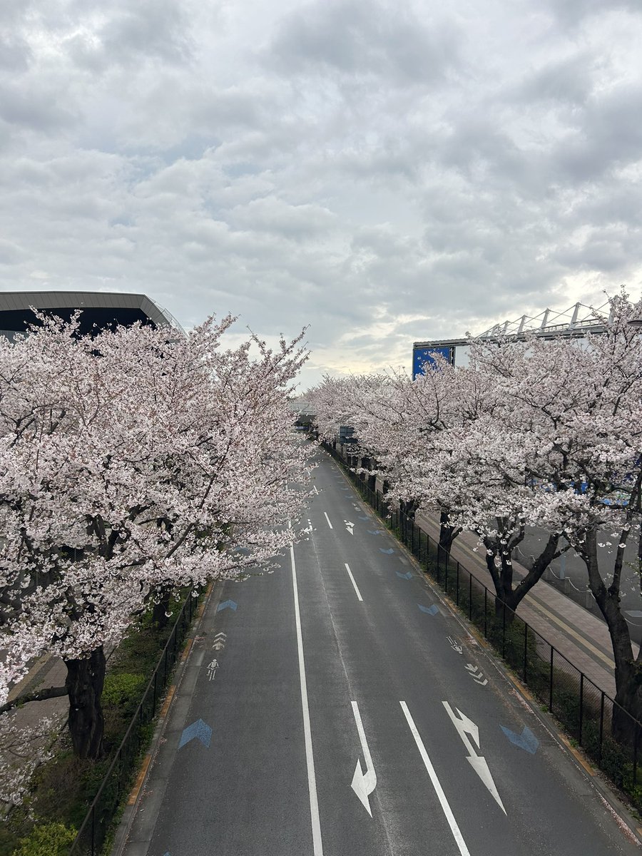 jack24ninja1999's tweet photo. #今日の味スタ
#day1700
#花曇り
#凍結された為こちらから
#週末土曜日
#YNWA
#まだ知らない熱狂へ
#魅せろ東京
#vsMachida
#2ndレグ
#TOKYOISBACK
#ホームへの帰還
#トーキョーこそ全て
#俺らを熱くする
#味スタの桜
#ForçaPedroSeverino https://t.co/uFRd2mdd1G