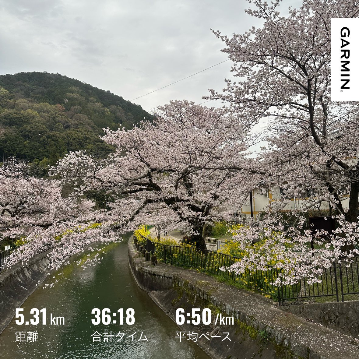 やまみ tweet media