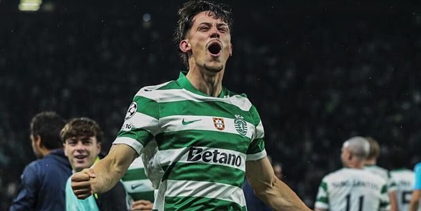 Politicamente Insensível tweet media