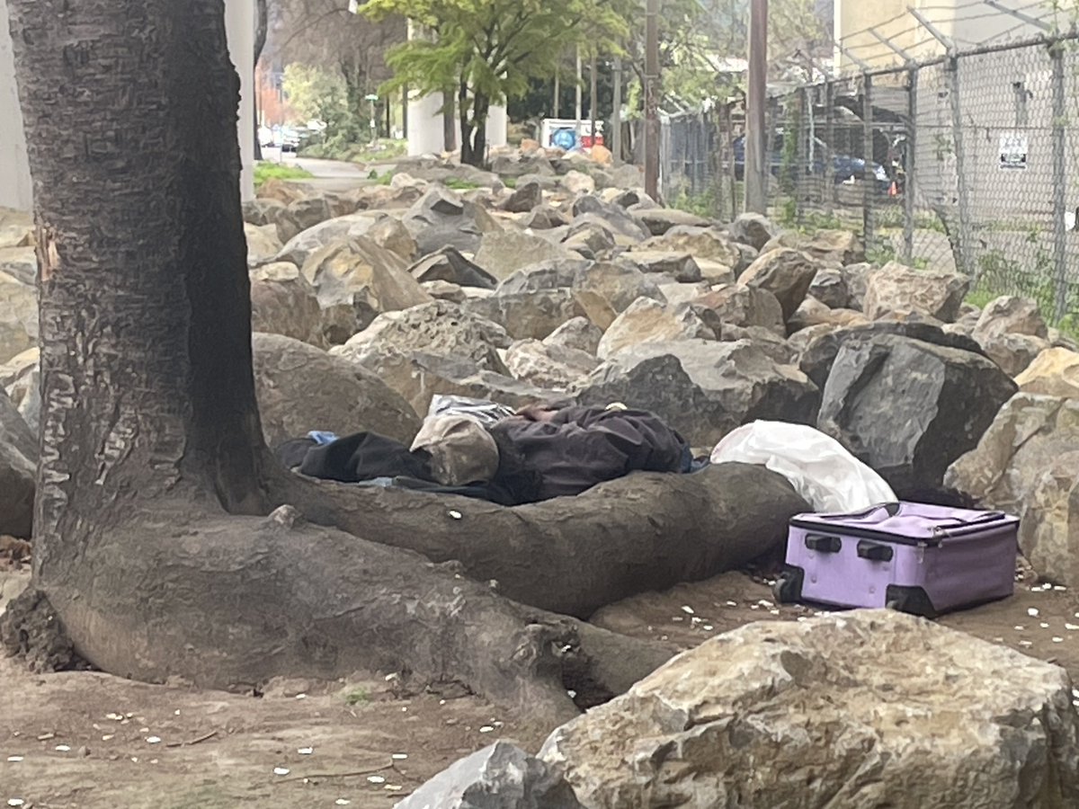 Brandon Farley tweet media