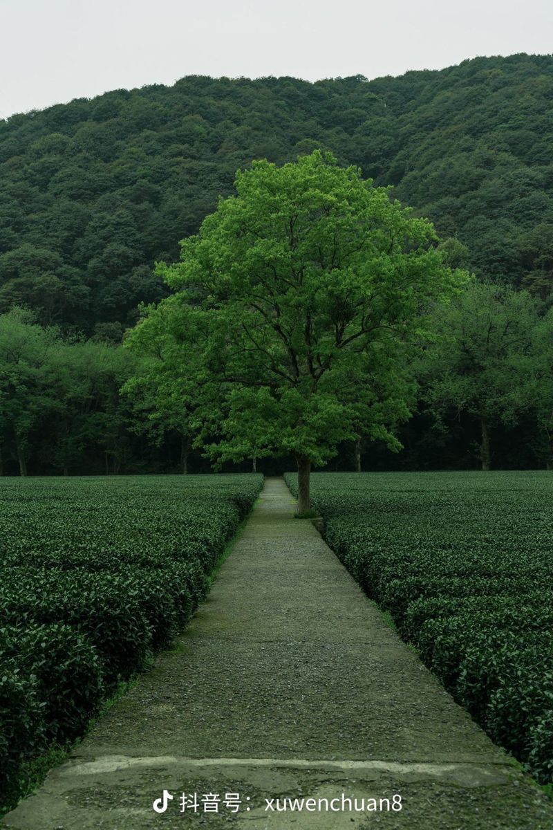 ᅠ ᅠ (@greendreaams) on Twitter photo 