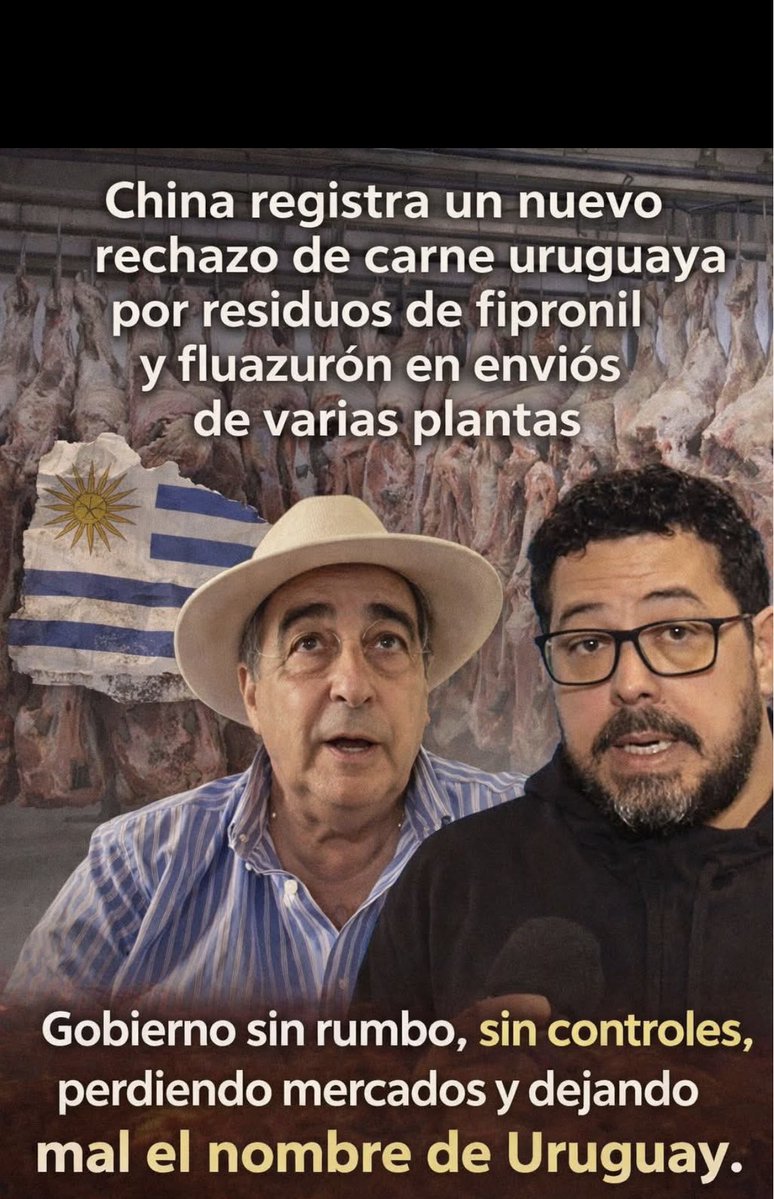 Ana Grim 🇺🇸💙🤍🗽💙 tweet media