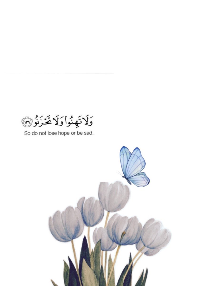 roro_elbaba's tweet photo. https://t.co/ZPuBhpwXbq