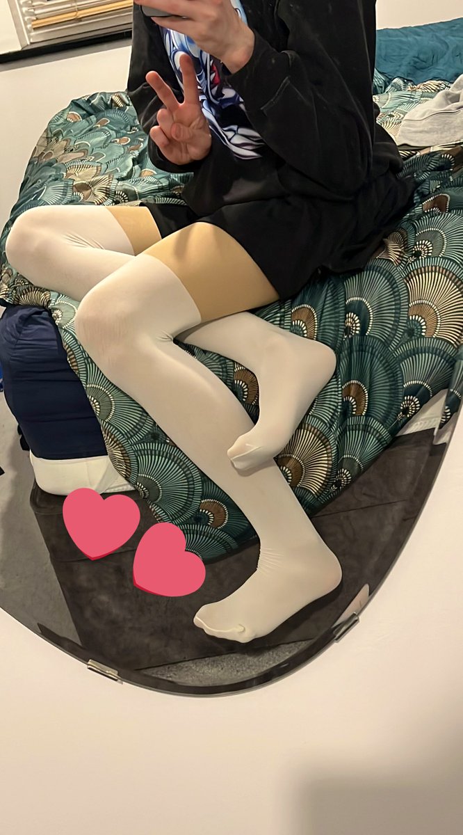 Terra 🦖 tweet media