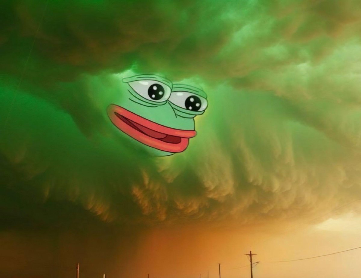 only.blue.chips tweet media