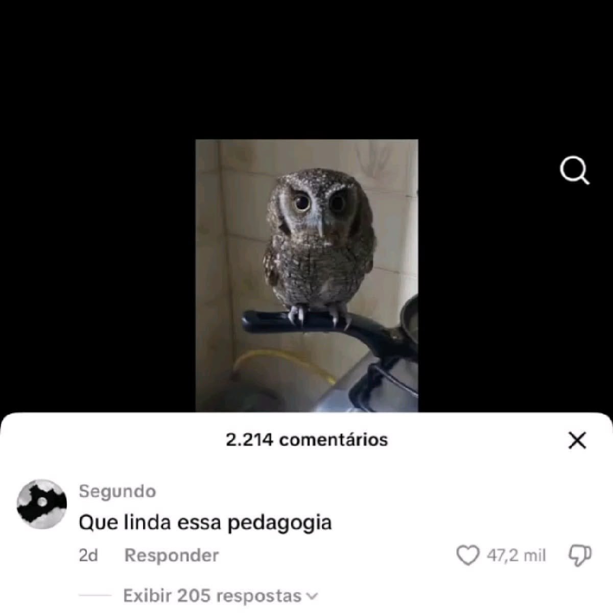 shitpostverdade's tweet photo. https://t.co/usRFAxORsU