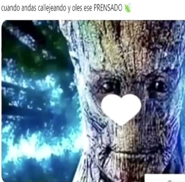 viciobylike tweet media