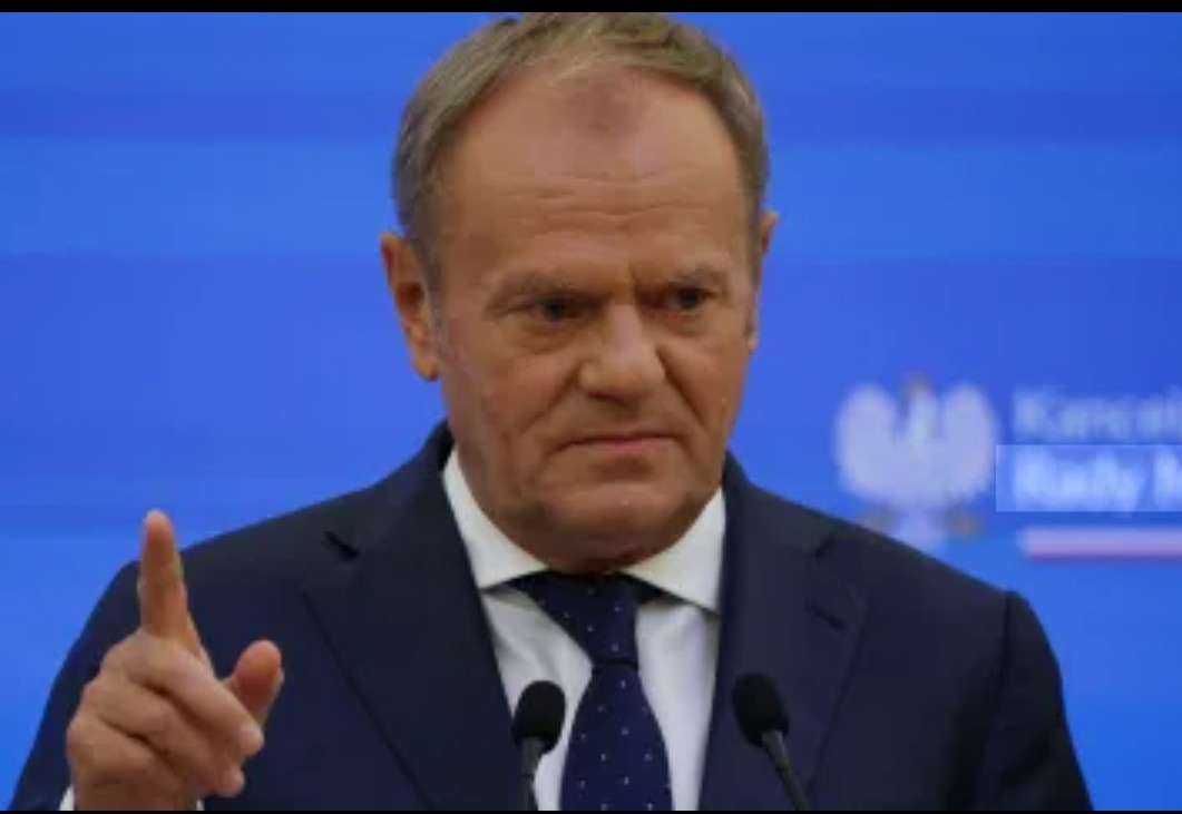 D.Radka, #NAFO 🇨🇿🤝🇺🇦 tweet media