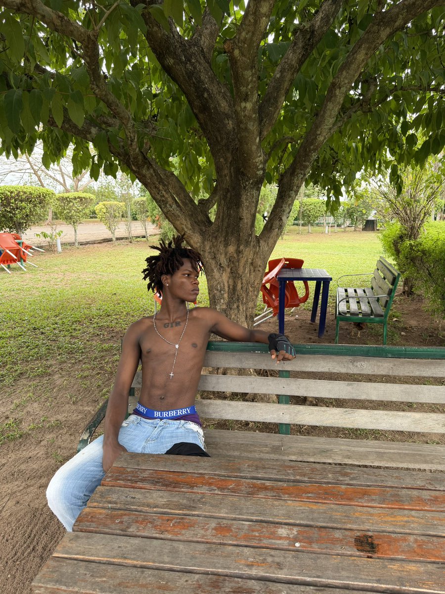 Stony Meadow Vault tweet media