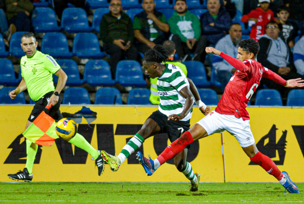 dinissvp tweet media