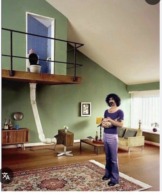 Signe Sol tweet media