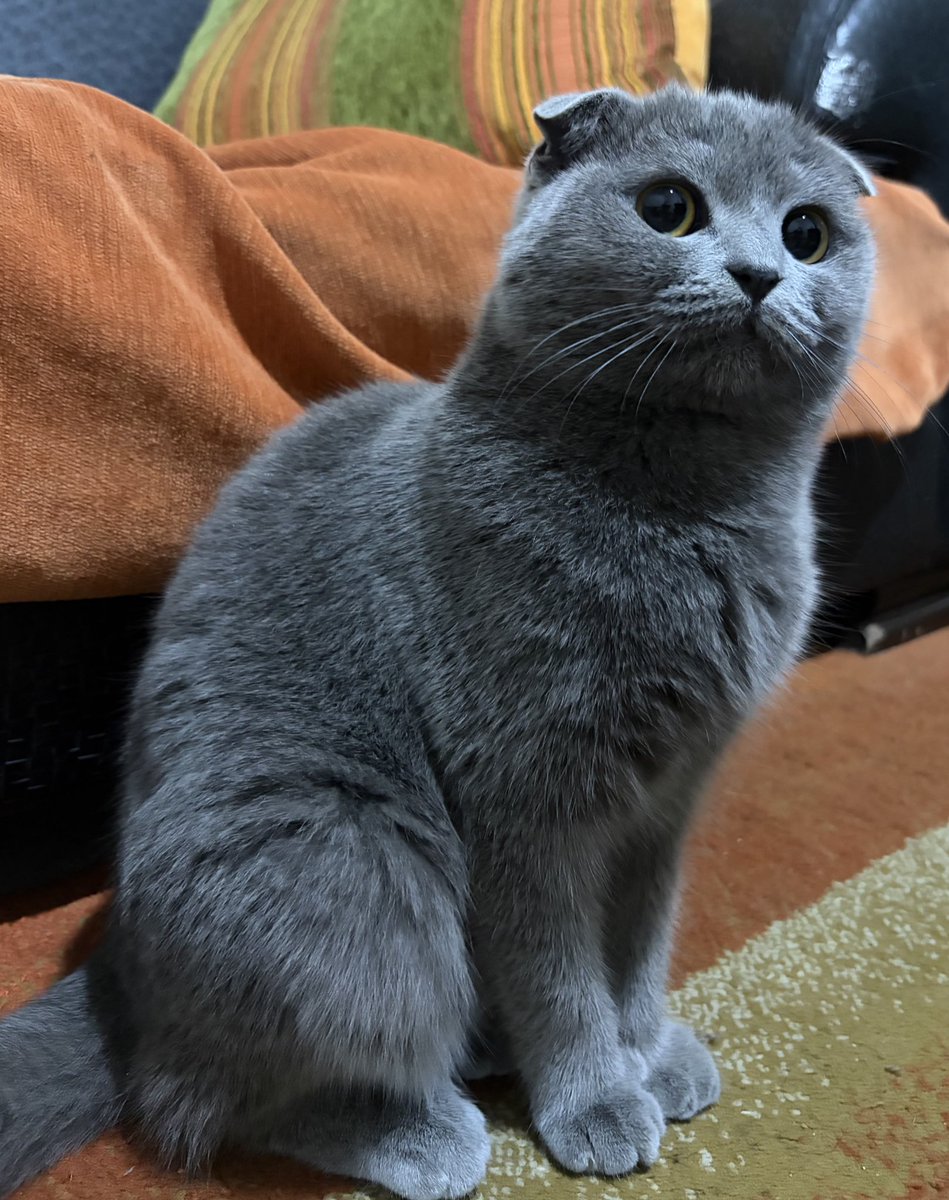 jules boutros MD tweet media