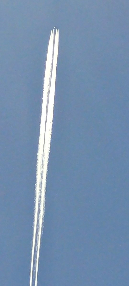 ANGRYNIC tweet media