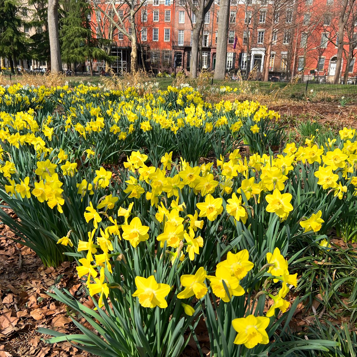 brice hammack tweet media