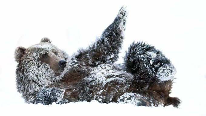 🇮🇪leam🇰🇵 tweet media