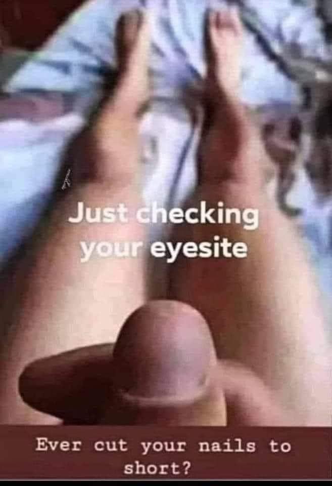 ZombieHavoc tweet media