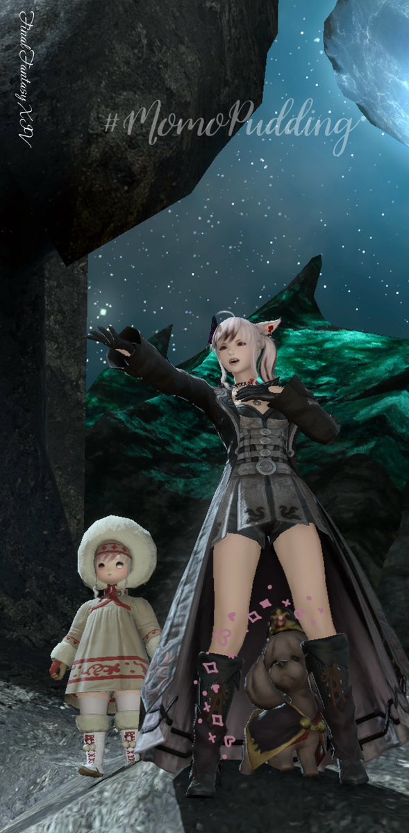 momo🐰 tweet media