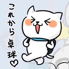 ☆ス〜☆🔰Su- San🔰 tweet media