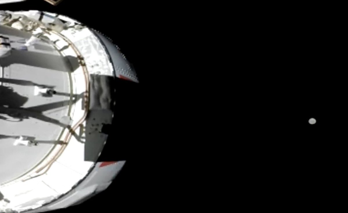 Jasmine 🌌🔭 tweet media