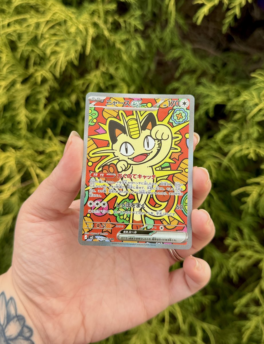 haley 🍃 tweet media