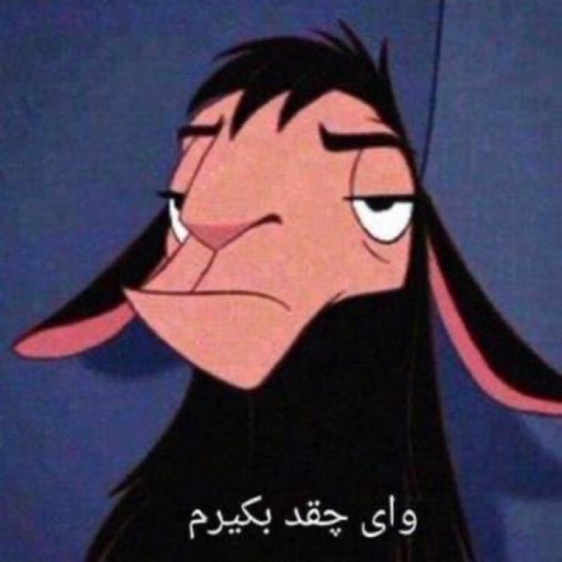 gorazevahshi tweet media