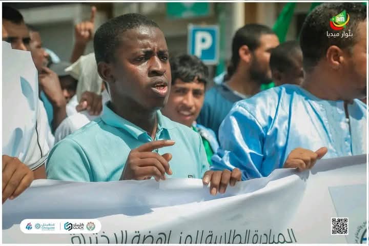أحمد الحسني الشنقيطي tweet media