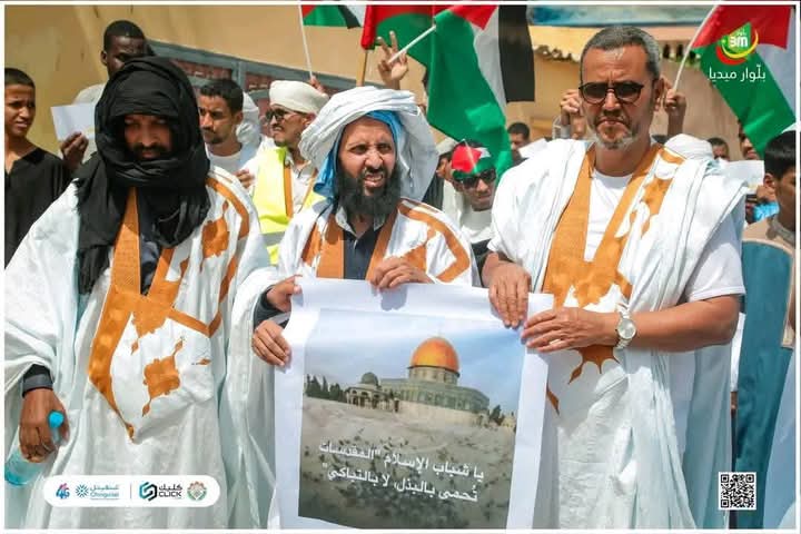 أحمد الحسني الشنقيطي tweet media