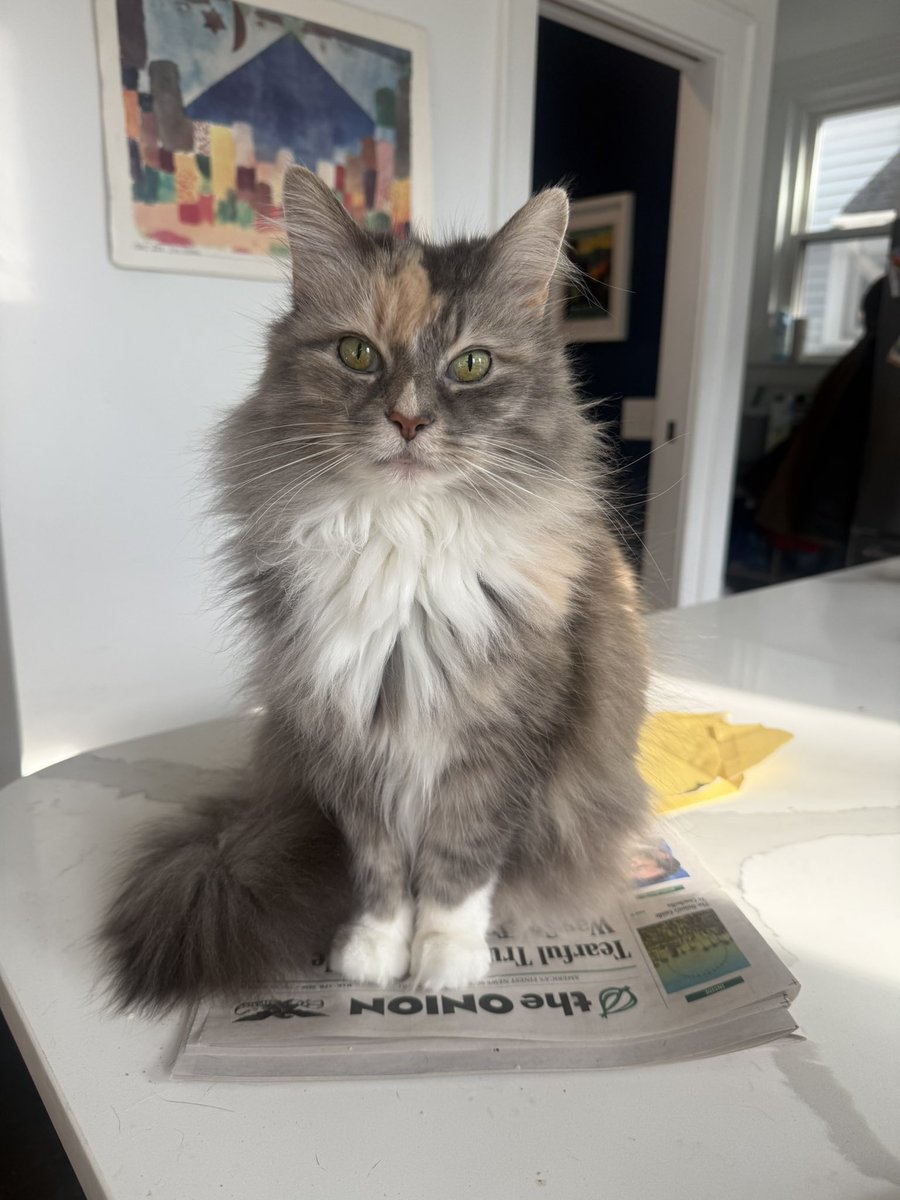 Keith Orejel tweet media